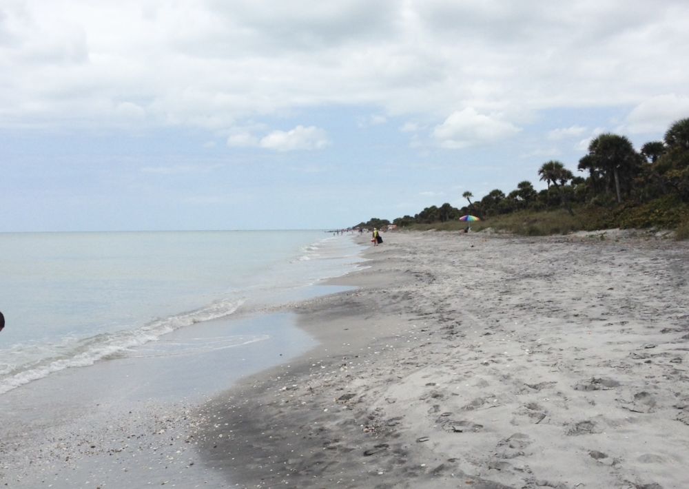 Venice Real Estate - Kelly Ford, Salesperson, REALTOR®