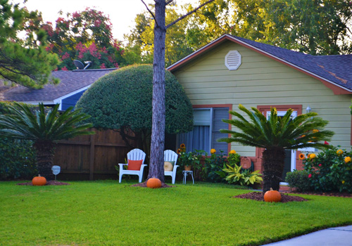 Cape Coral Real Estate - Kelly Ford, Salesperson, REALTOR®